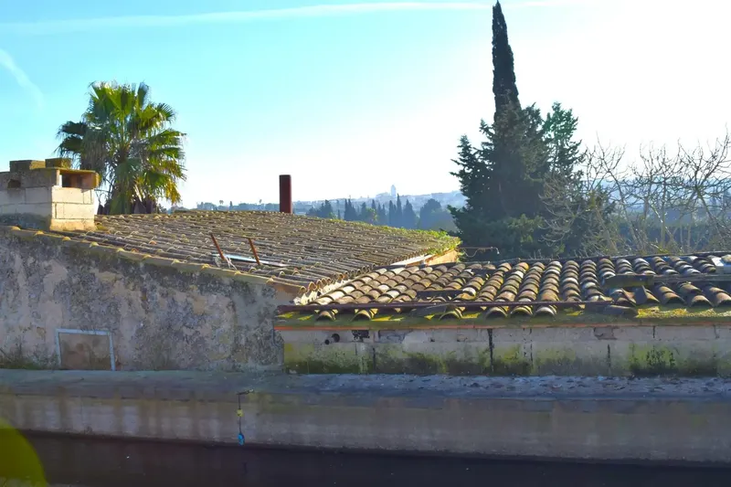 Rustic finca in Muro with 14,196 m2 of land and open views of the Serra de Tramuntana, in a quiet setting with great potential. — photo 10