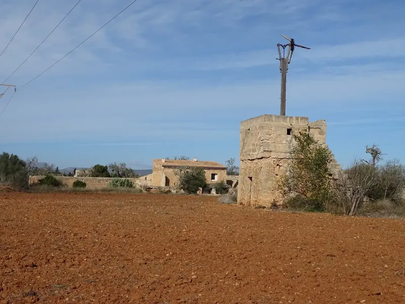 Estate of more than 22,000 m2, located between Campos and Santanyi, within the municipality of Campos, about three kilometers from the village of Campos — photo 8