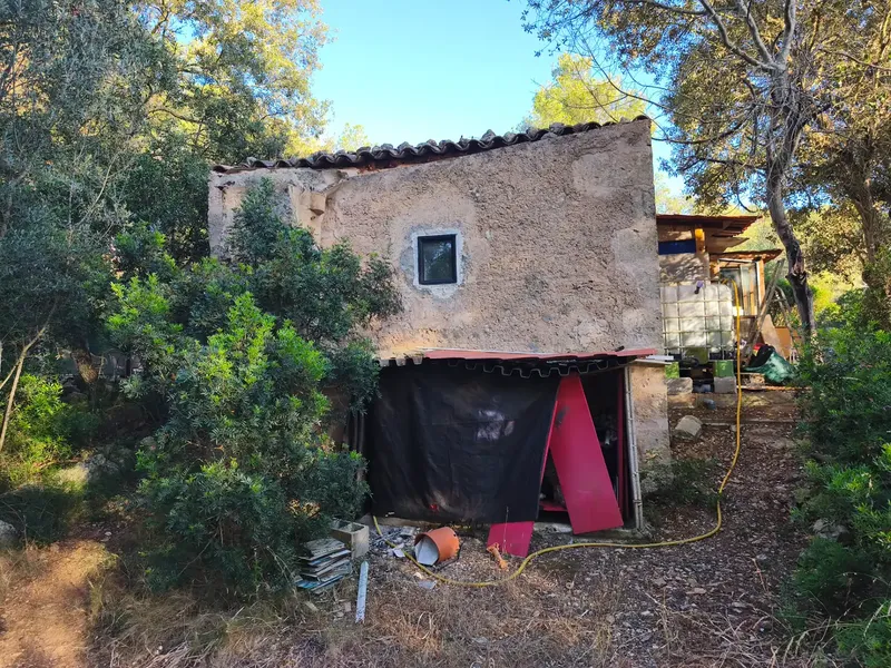 Finca of 12000 m² in the area of Sa Comuna, almost entirely enclosed by stone wall, with an old stone cottage of about 30 m² and an annex — photo 2