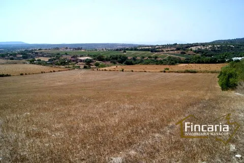 Land in Manacor, Mallorca — photo 9