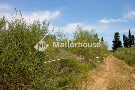 Rustic property - Muro (Centro), Built Surface 1 m², Plot Surface 8000 m² — photo 1