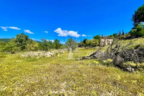 Land in Alaro, Mallorca — photo 7