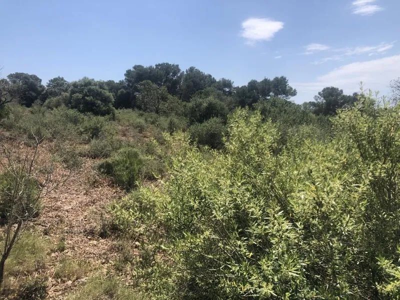 Nice plot with basic project of about 300m2, electricity and water supply between Porto — photo 4