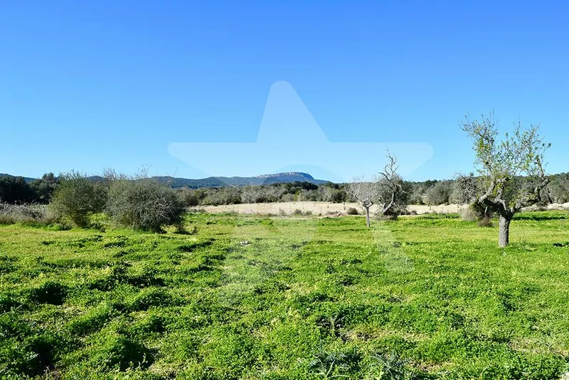 Fantastic building plot with project and planning permission — photo 1