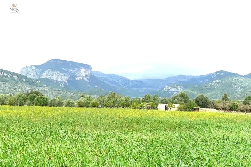 IKV00471-1. Rustic estate of 22,950 m2 with various buildings totaling 937 m2 built. — photo 5
