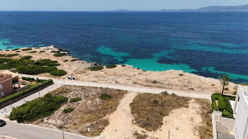 Developable Plot on the Front Line in Son Veri — photo 3
