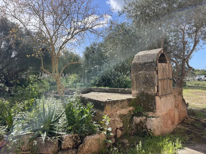 Rustic finca for full renovation with distant views of the Sierra de Tramuntana, Campos — photo 9
