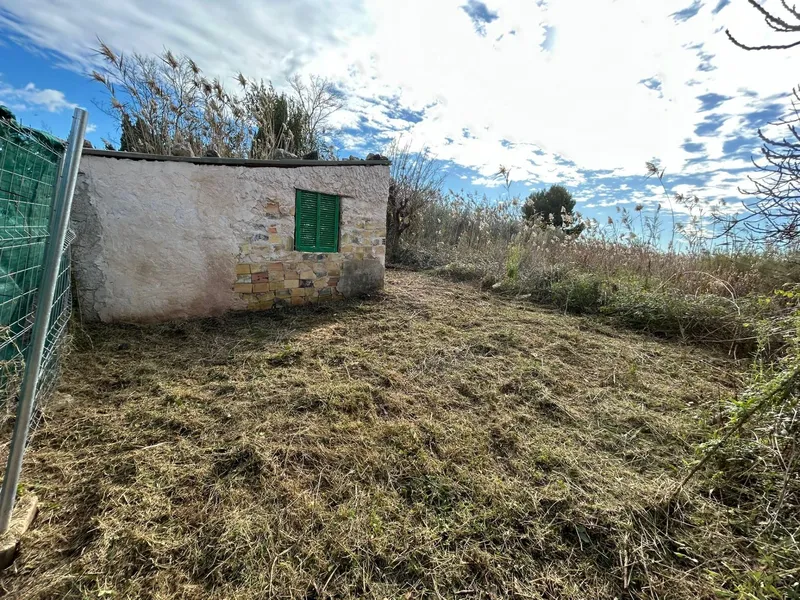 Rustic plot in Sa Pobla — photo 2