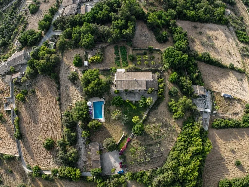 Exclusive luxury finca in Vilafranca de Bonany — photo 3