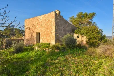 Farmhouse to Renovate in Manacor 15000sqm Land — photo 1