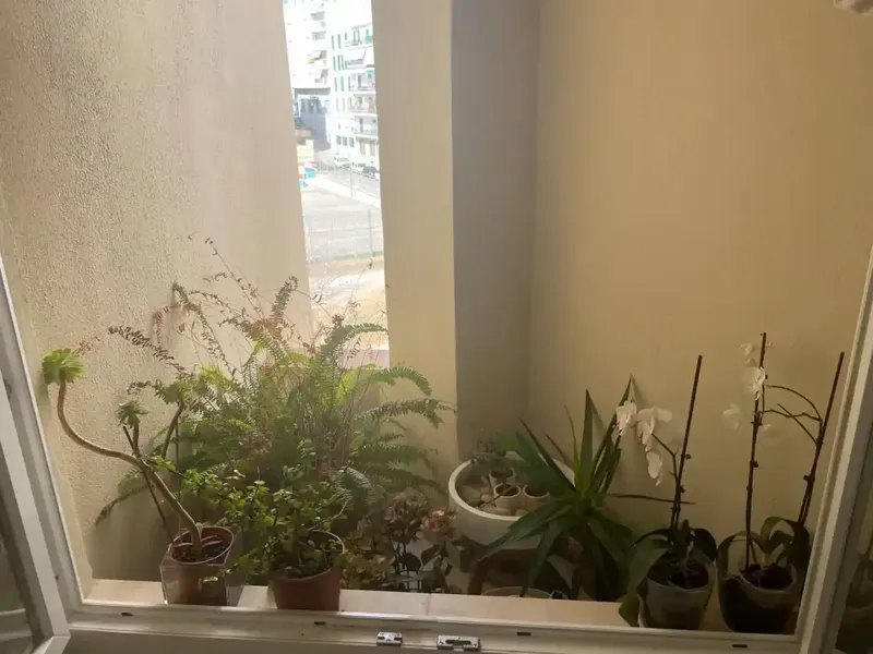 Piso exclusivo con acabados de lujo, con terraza y parking frente al Palma Tennis Club, Santa Catalina. — photo 4