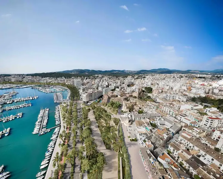 Situado en Es Jonquet —famoso por su horizonte salpicado de molinos de viento y sus vistas a la catedral—, te encuentras en el punto de encu — photo 9