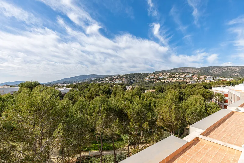 Penthouse apartment in Bendinat near the golf course — photo 7