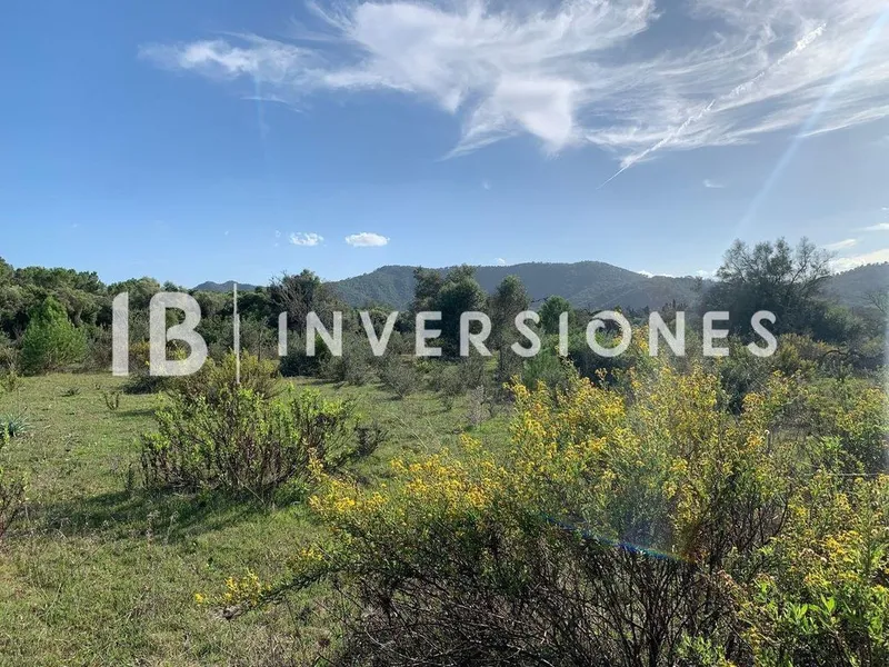 Land in Capdepera, Province of Balearic Islands — photo 6