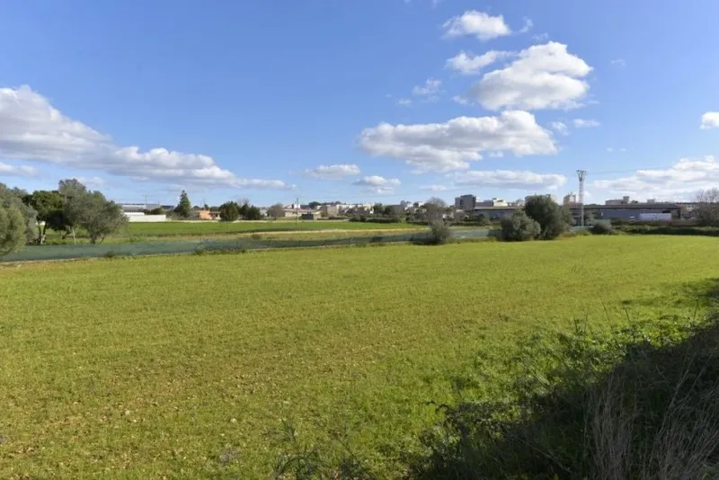 Land for Sale in Manacor — photo 2