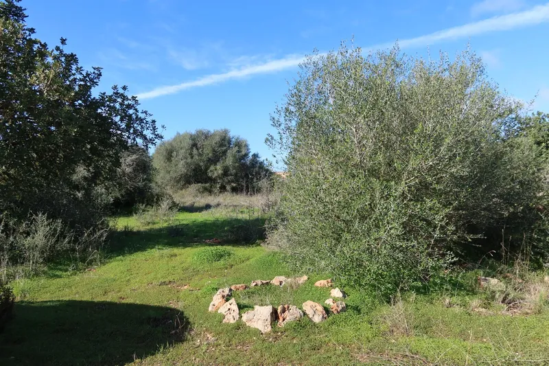 Buildable plot with great privacy in Campos – 14,625 m² — photo 4