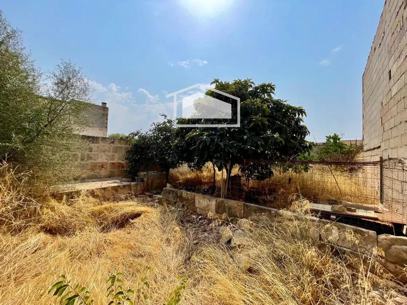 Buildable urban plot in Ses Salines — photo 1