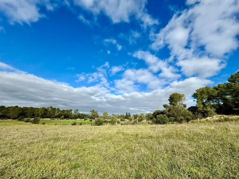 Land in Lloret de Vistalegre, Province of Balearic Islands — photo 5
