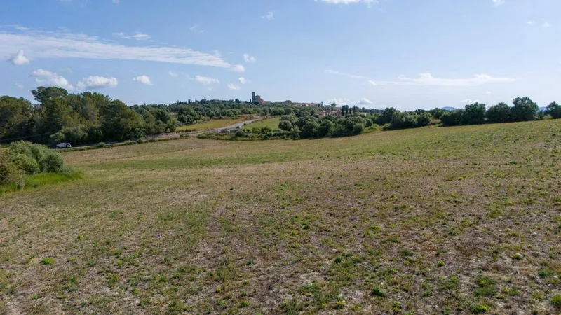Land in Ariany, Province of Balearic Islands — photo 3