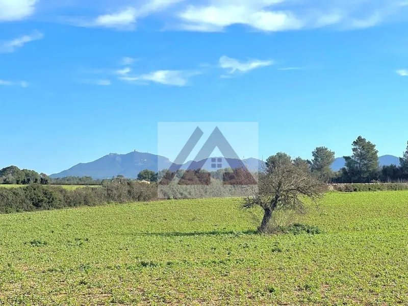 Ländlichles Land zu verkaufen in Campos — photo 6