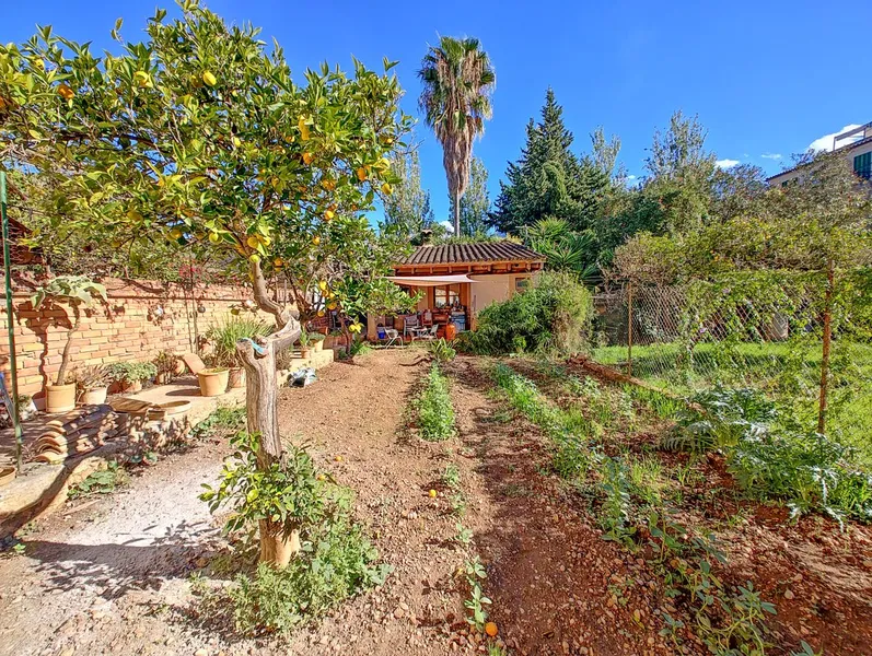 Historic Manor House for Sale in the Heart of Sóller — photo 4