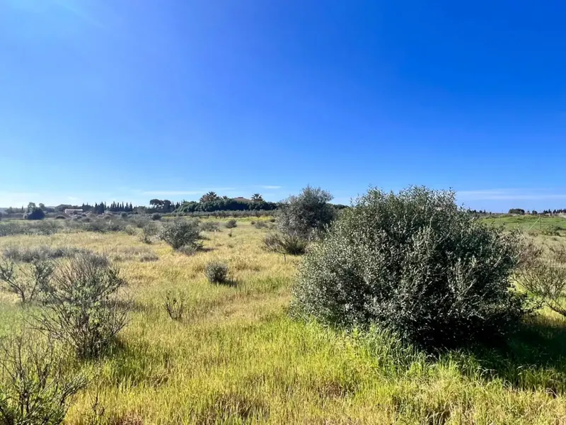 Rustic estate between Sa Pobla and Muro, with over 21,700 m2 of land and several constructions, one of them a large safareig and the other a — photo 11
