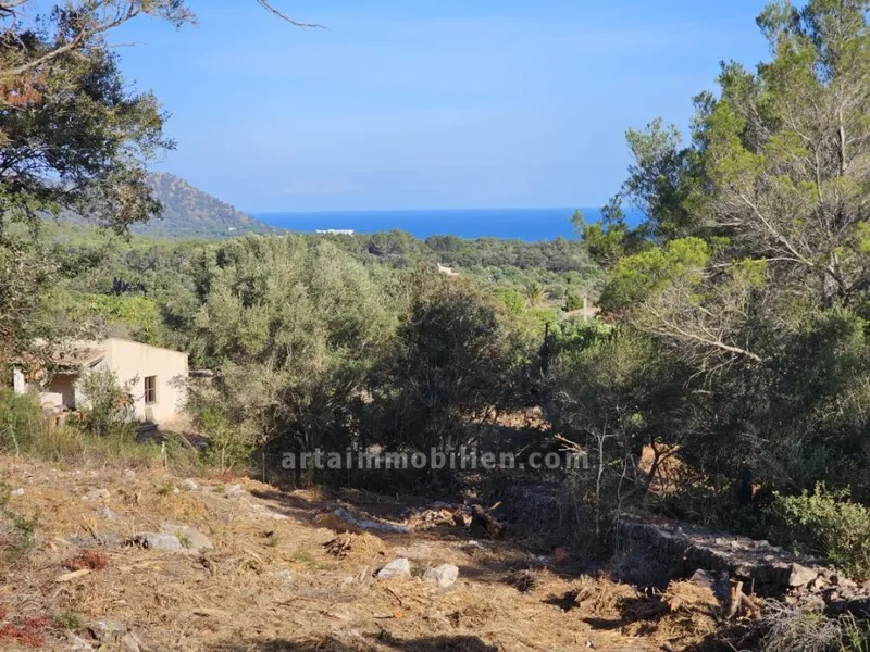 Plot with project in Son Servera — photo 1