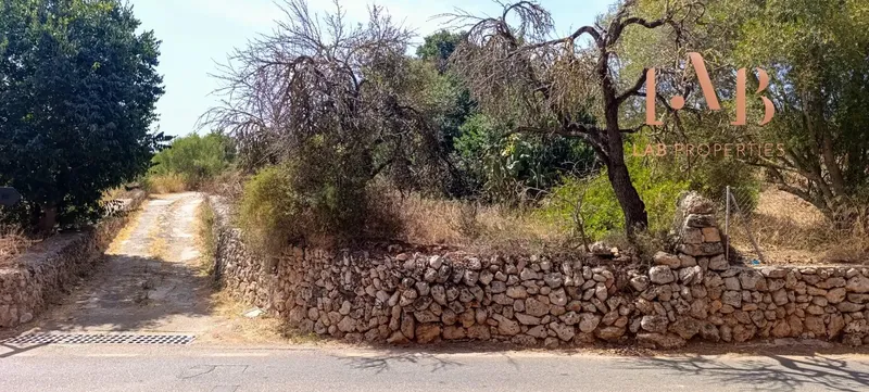 An opportunity with enormous potential in Pòrtol, ideal for those seeking a spacious property to renovate, a family project or a — photo 6