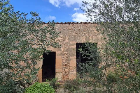 Land in Costitx, Mallorca — photo 3