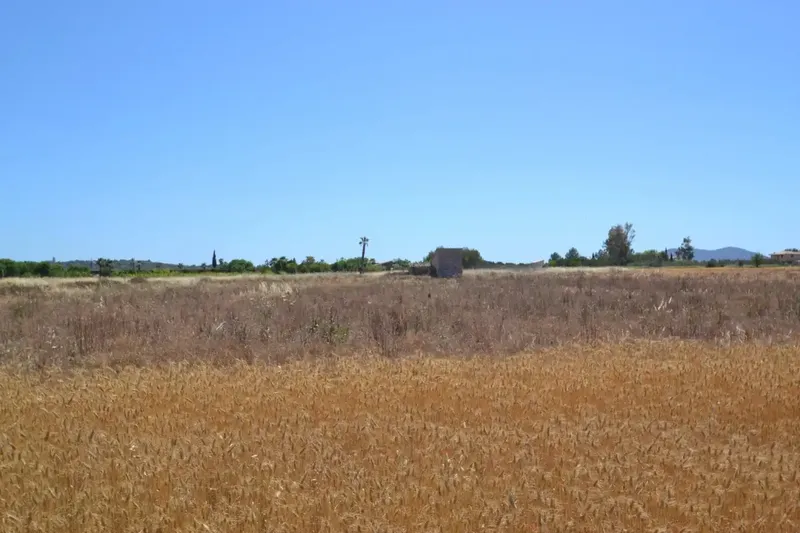 Set of plots for sale in Muro a short distance from the beach — photo 9