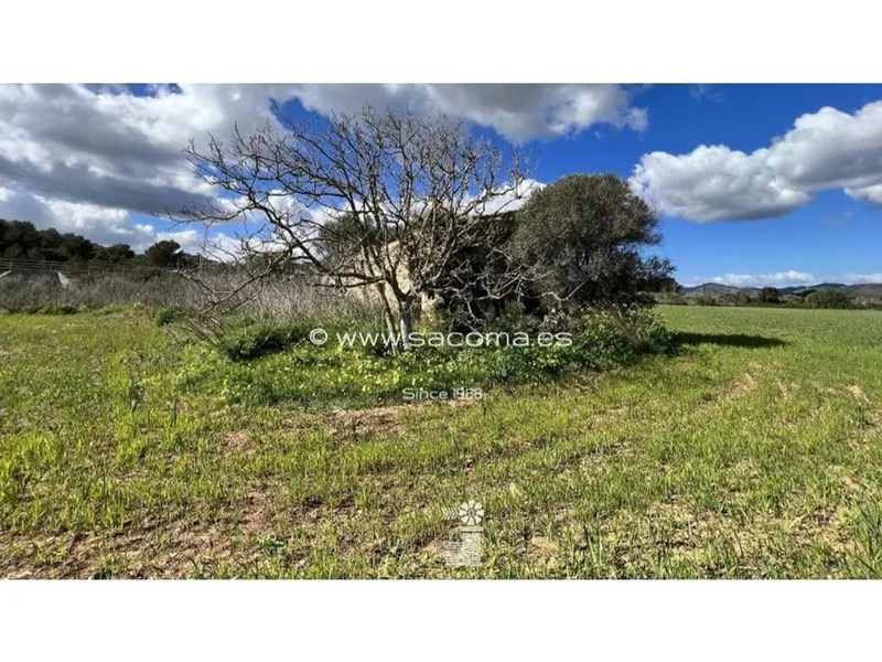 Land in Artà, Province of Balearic Islands — photo 8