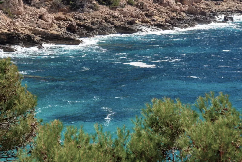 Stunning sea views in Cala Llamp, Puerto Andratx — photo 5
