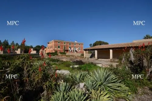 Impressive Mallorcan property requiring renovation near Manacor — photo 1