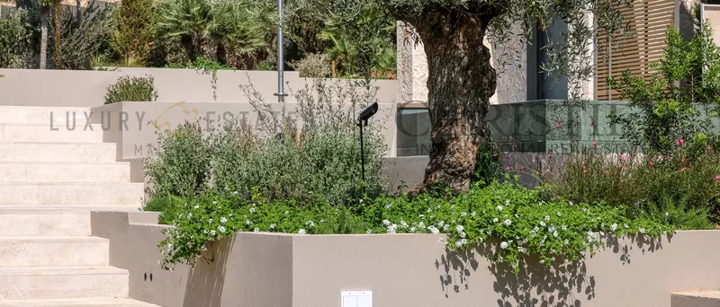 Modern villa in Cala Vinyes within the new Clariana Homes development in southwest Mallorca — photo 4