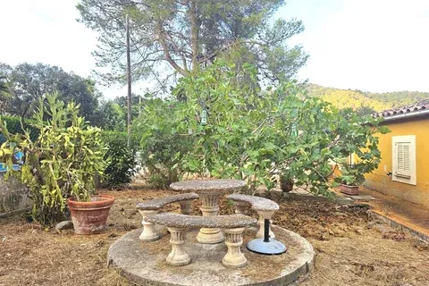 Finca in Sa Pobla, Mallorca — photo 6