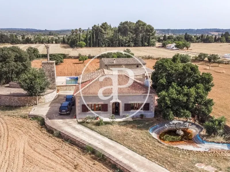 Villa in Binissalem, Mallorca — photo 2