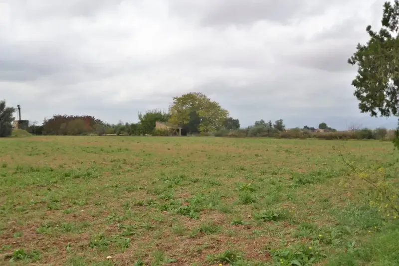 Plot of 15300 square meters with tool shed to be renovated — photo 1