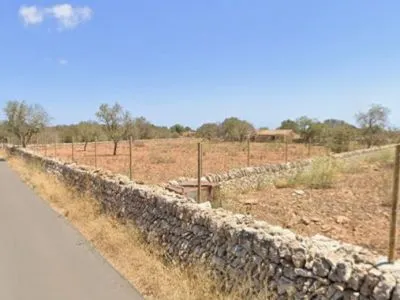 For rent: Plot of 5,000 m² with small house in Santanyí – Ideal for horses — photo 2