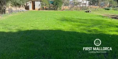 Real estate picture 0 Ref. No. 78936 — photo 6