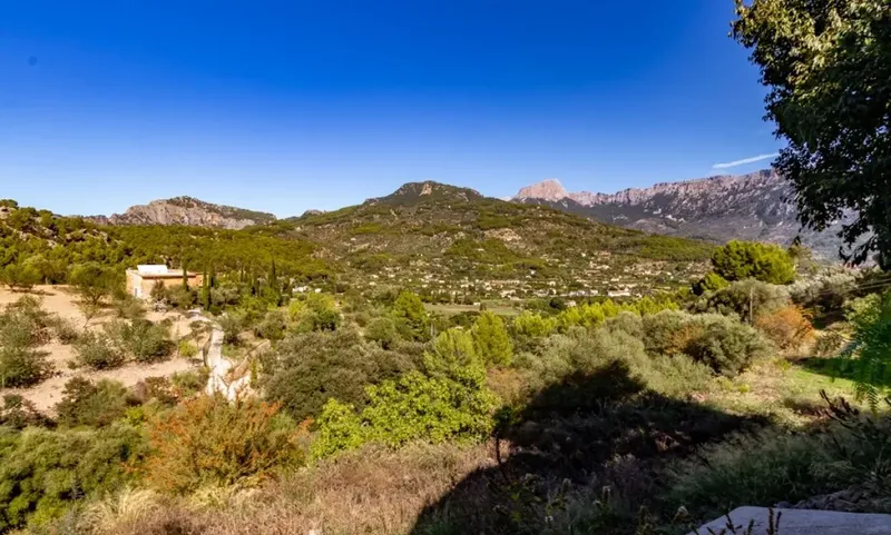 Rustic Finca in Soller - Deia Road — photo 5