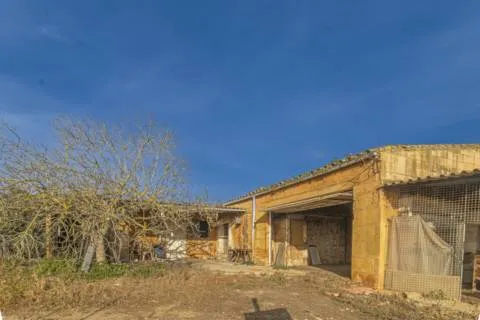 Detached house — photo 4