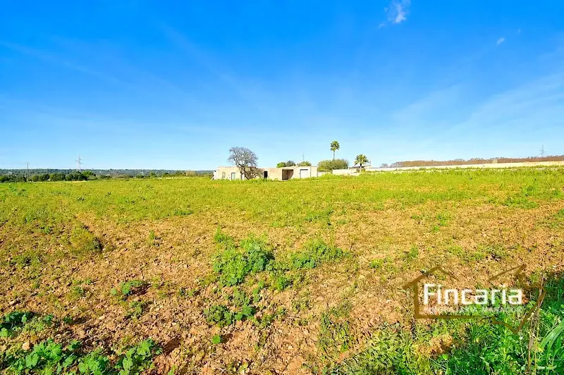 Sensational agricultural warehouse in perfect condition located in the Son Llunes area, 2.5 km from Manacor. Warehouse of 85 m — photo 1