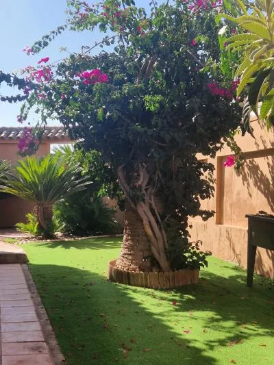 Single family house - El Puerto de Santa Maria (El Juncal - Vallealto) — photo 5