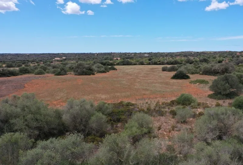 Large plot in a quiet area a few minutes from Santanyi — photo 2