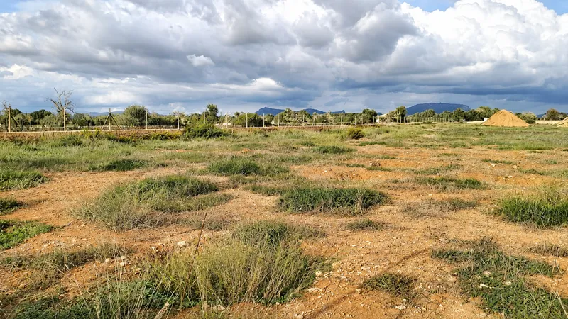 New construction project – state-of-the-art country finca as a solar self-sufficient house — photo 10