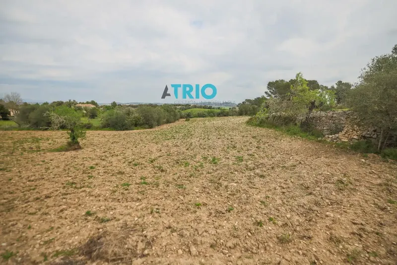Discover the charm of rural life in Montuïri! We present this rustic finca to renovate, a peaceful refuge with a strategic location near the town center. — photo 6
