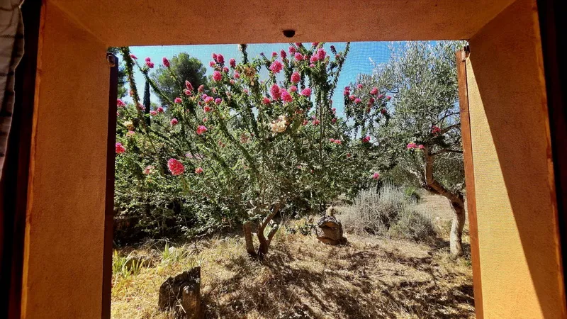 Finca - Rustic in an absolutely top location — photo 11