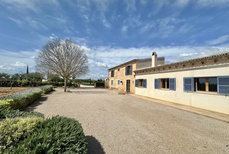 Finca in Binissalem — photo 4