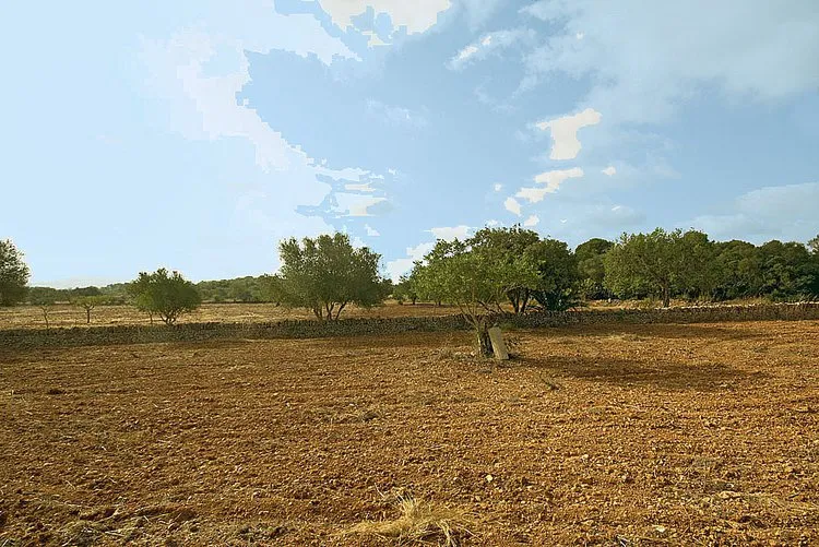 Campos, a large rural estate with potential F02906 — photo 7