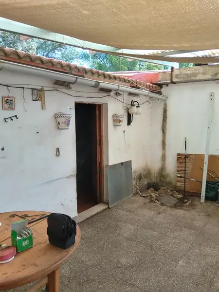 Se vende finca rústica en Son Net, a 2 km del pueblo, zona arbolada, tranquila y naturaleza al máximo. Carretera asfaltada hasta finca. Disp — photo 2